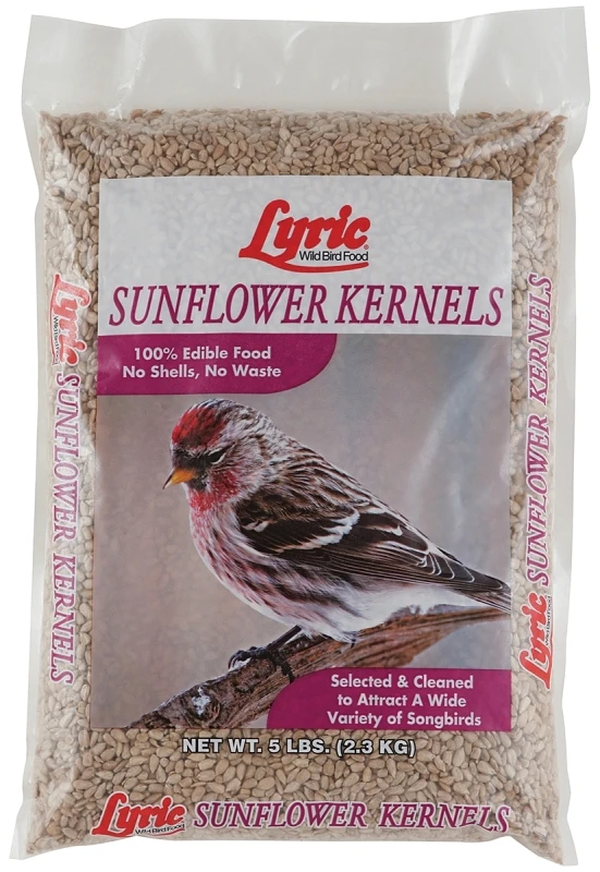 5 Lb. Sunflower Kernels Bird Food For Wild Birds