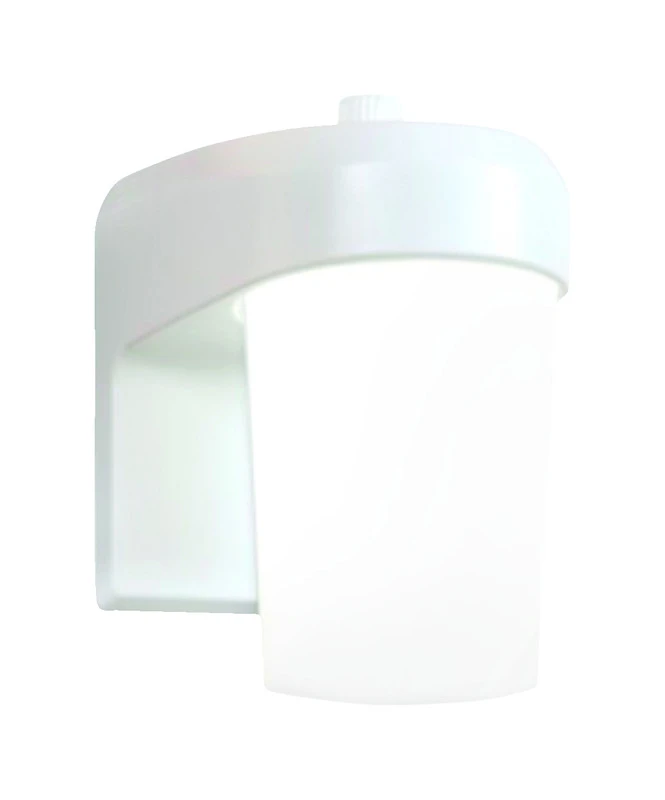 White LED Entry and Patio Light, 900 Lumens Brightness, 120 Volt Power