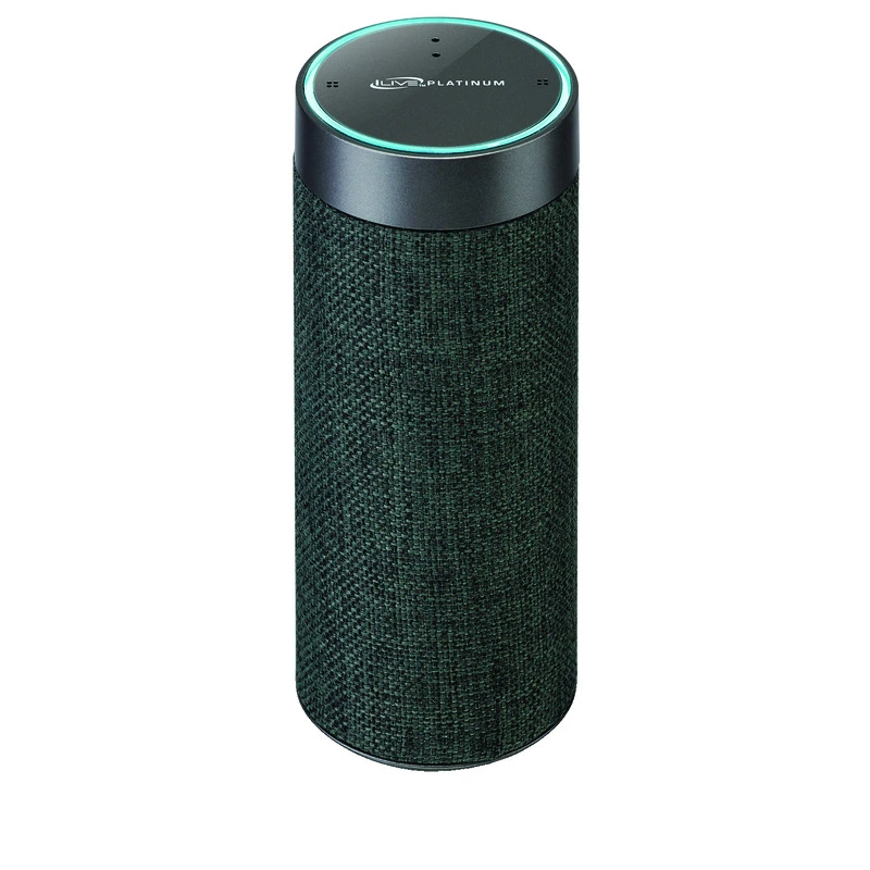 Alexa Wi-Fi Concierge Wireless Speaker with Voice Activation in Gray