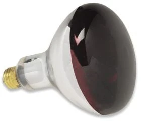 Heat Lamp Bulbs - HEAT LAMP BULB (RED)