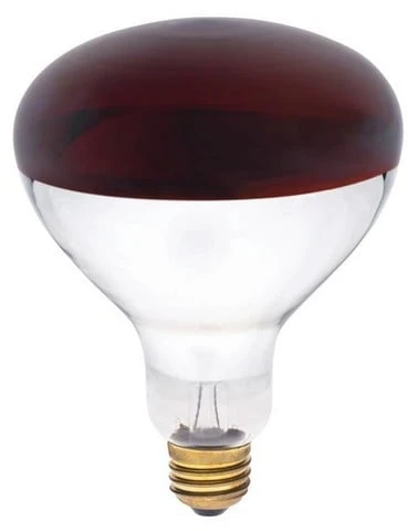 Westinghouse 250 W R40 Reflector/Heat Lamp Incandescent Bulb E26 (Medium) Red 1 pk
