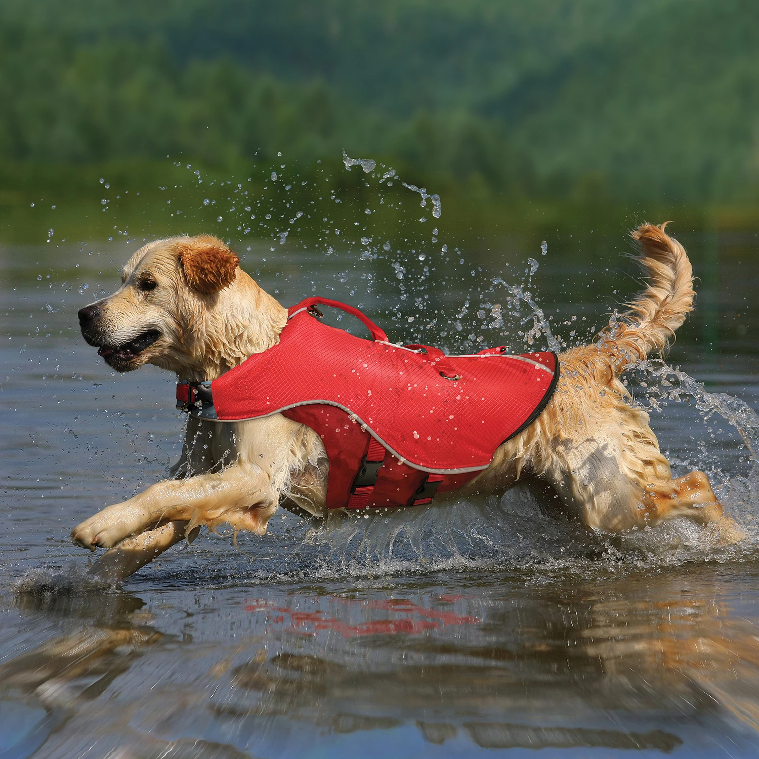 Surf N Turf Red Pet Vest Dog Jacket Medium - Life Jacket And Overcoat