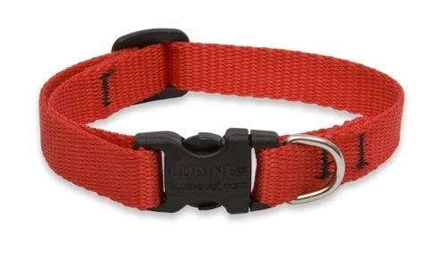 1/2-inch Red Adjustable Dog Collar For Small Dogs 8-12 Inches
