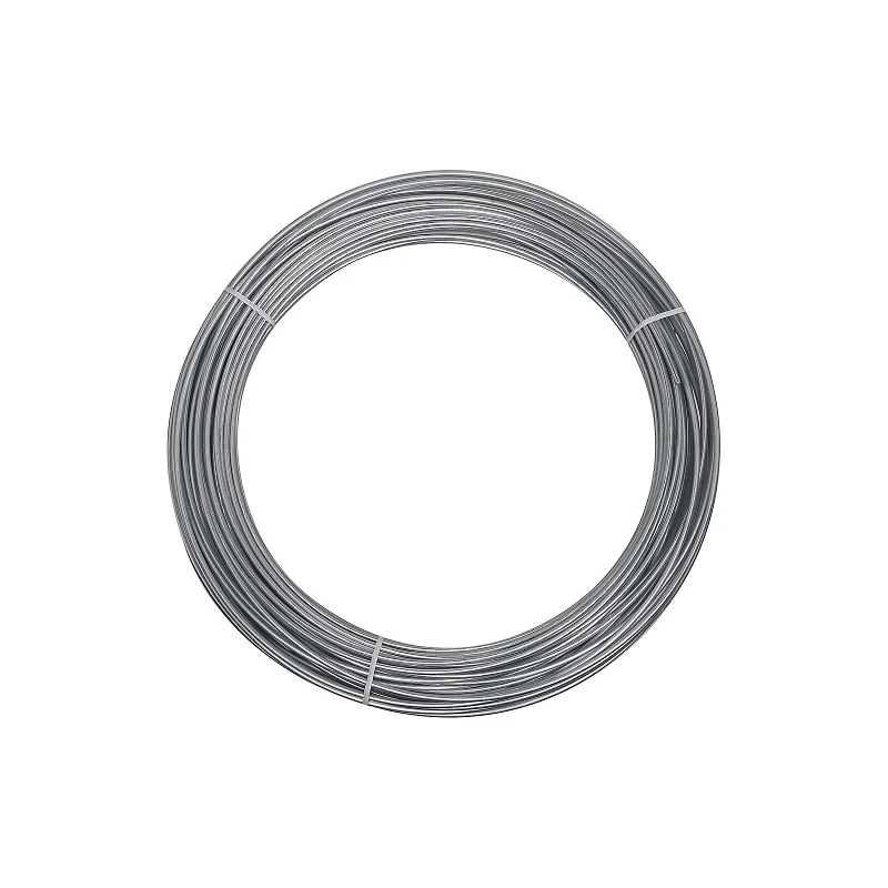 12-gauge Galvanized Steel Wire, 100 Feet, Model N266-973