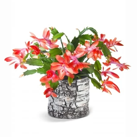 Vb-4 Vertical Birch Planter - 6 Inch Realistic Design