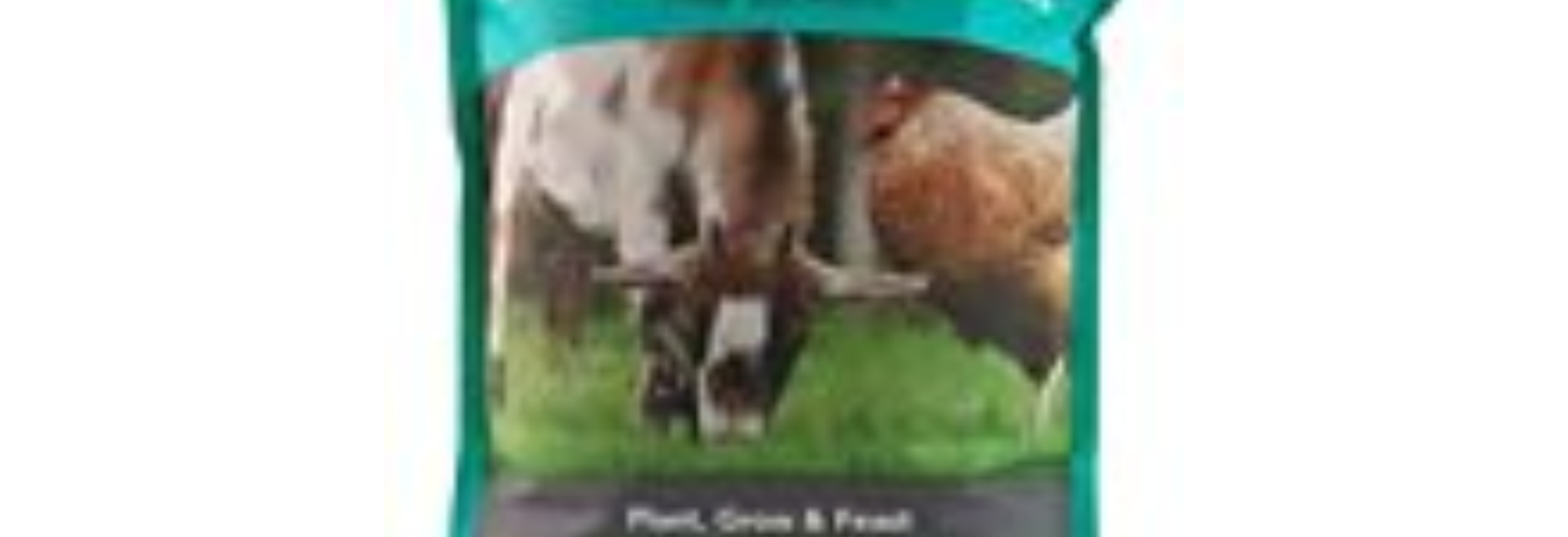 Groundcover Forage Grass Seed Mix 3 Pounds Covers 500 Square Feet