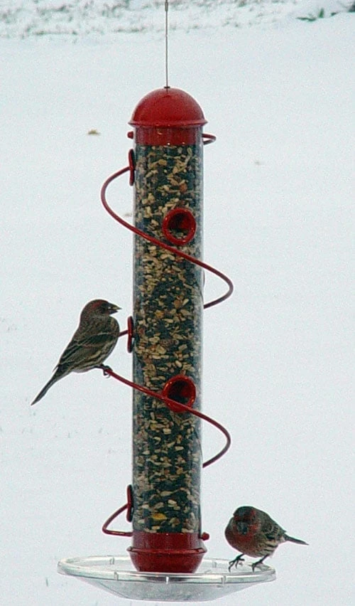 17 Inch Red Spiral Seed Feeder For Sunflowers And Mixed Seeds