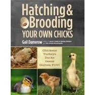 Hatching And Brooding Your Own Chicks: Chickens, Turkeys, Ducks, Geese, Guinea Fowl