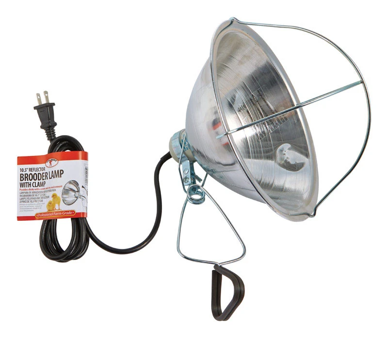 10.5 Inch Aluminum Brooder Reflector Lamp With Clamp Model 170017