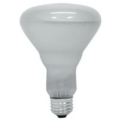 65-watt Indoor Reflector Flood Light Bulb, R30, Medium Base, 120 Volt