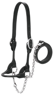 4-h Cattle Show Halter, Black Bridle Leather, Medium, 20-in. Chain X 36-in. Lead