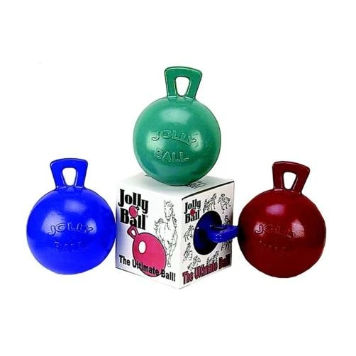 10 Inch Equine Jolly Ball - Model 410 - Purple Color