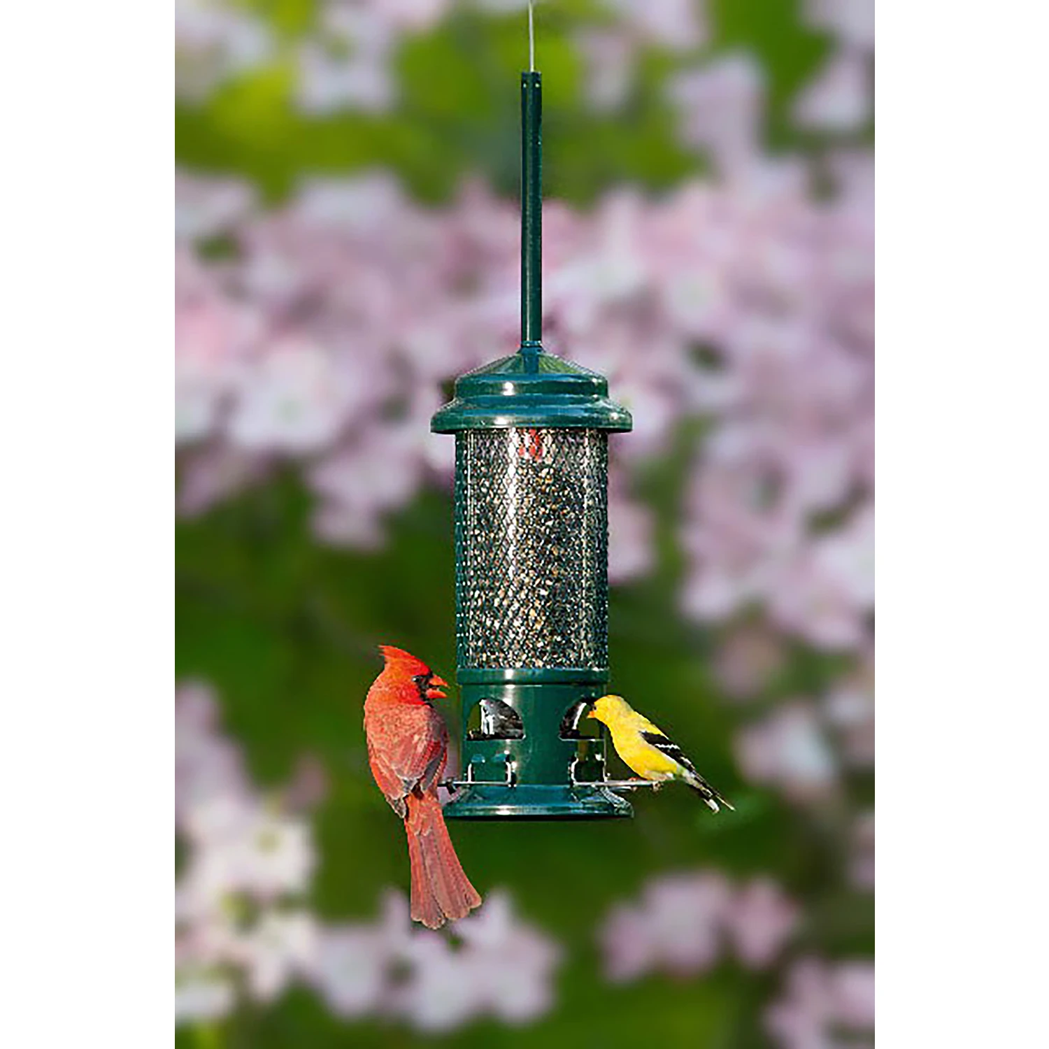 Birdfeeder Squirrel Buster Standard