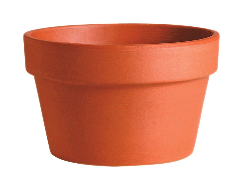 Terra Cotta Clay Planter, 6-In.