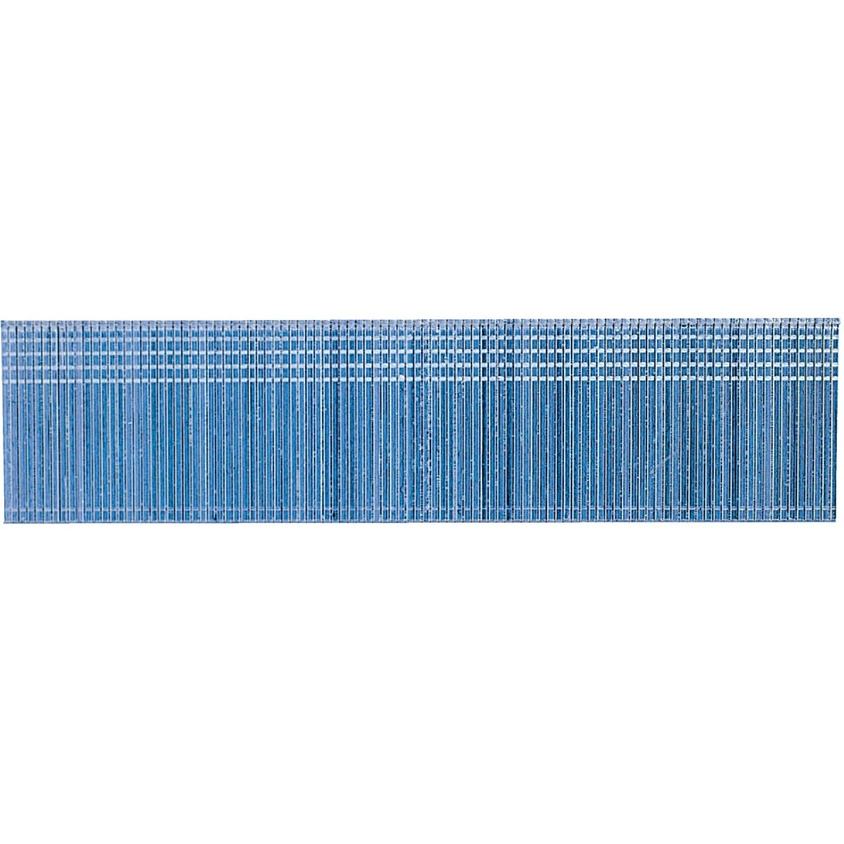 Collated Brad Nails Electrogalvanized Steel 0.75 Inch by 18 Gauge 5000 Count Pack