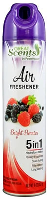 Air Freshener,  Berry Bouquet, 9-oz.Aerosol