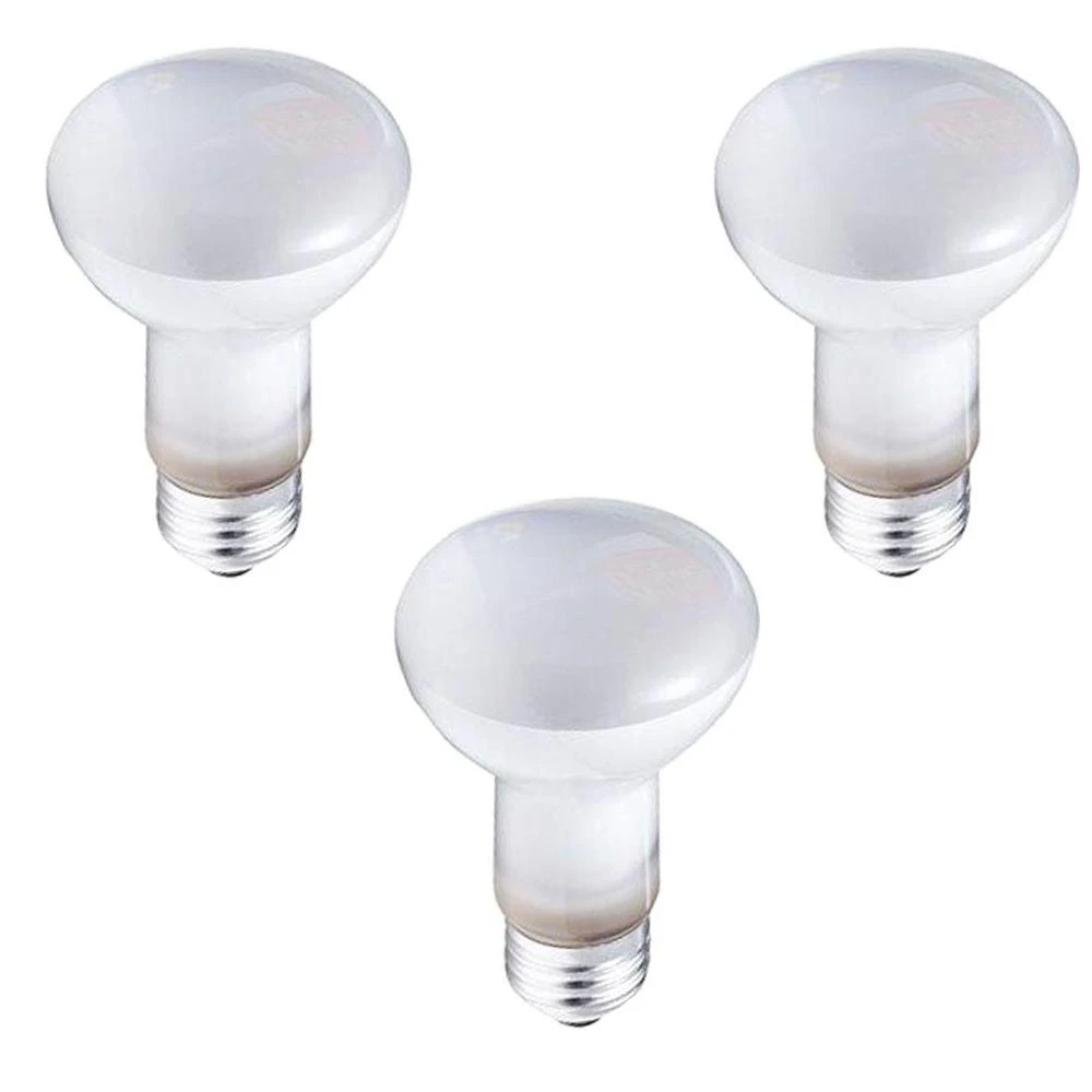 Philips DuraMax 45W Frosted Indoor Medium Base R20 Incandescent Floodlight Light Bulb (3-Pack)