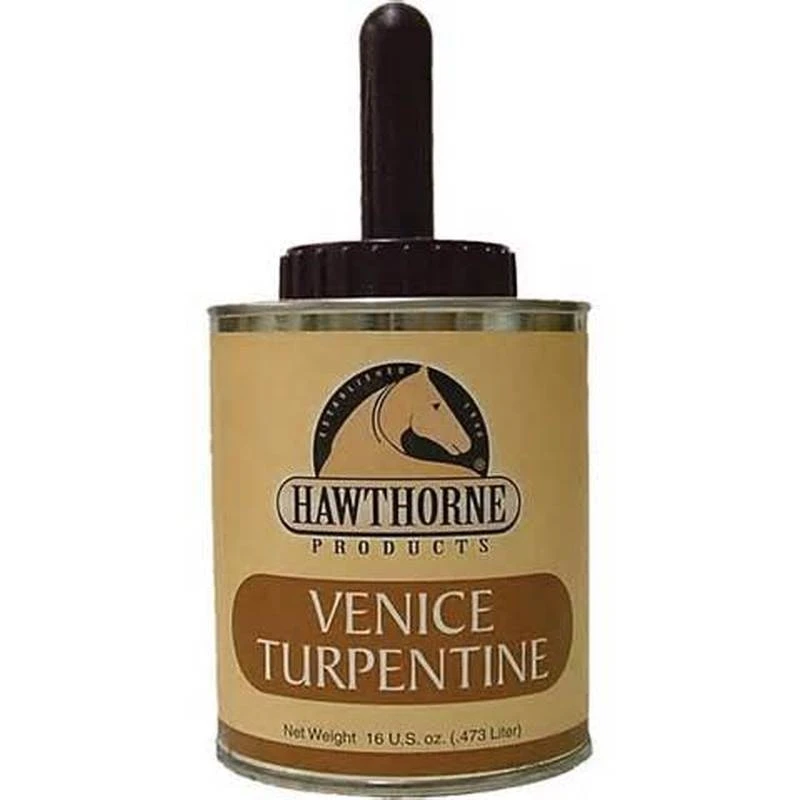 VENICE TURPENTINE 16OZ