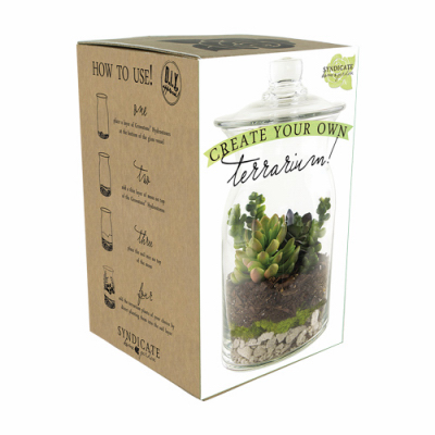 Complete Terrarium Kit with Glass Container, Soil, Decorative Rocks, and Plant Seeds
