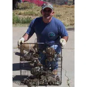 Sqrto The Squirrelinator Live Squirrel Trap Only - Durable Design