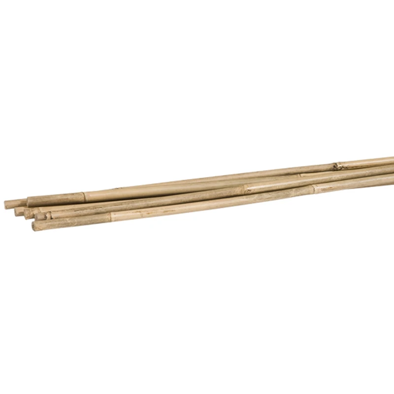 Bb6 6 Ft. Bamboo Plant Stakes, Pack Of 6