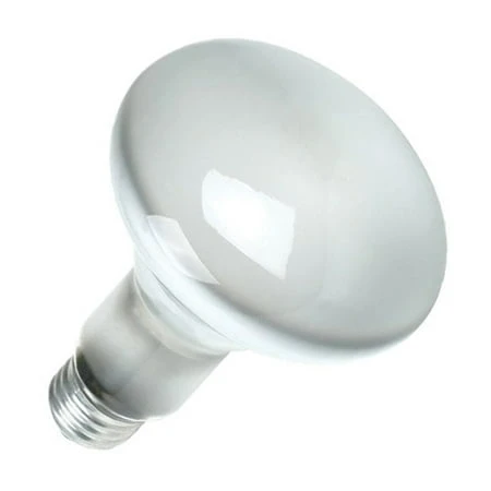 Philips 65W Frosted Medium BR30 Incandescent Floodlight Light Bulb