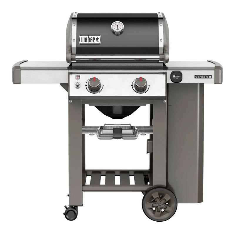 Genesis Ii E-210 2-burner Lp Gas Grill, 26,000 Btu, Black