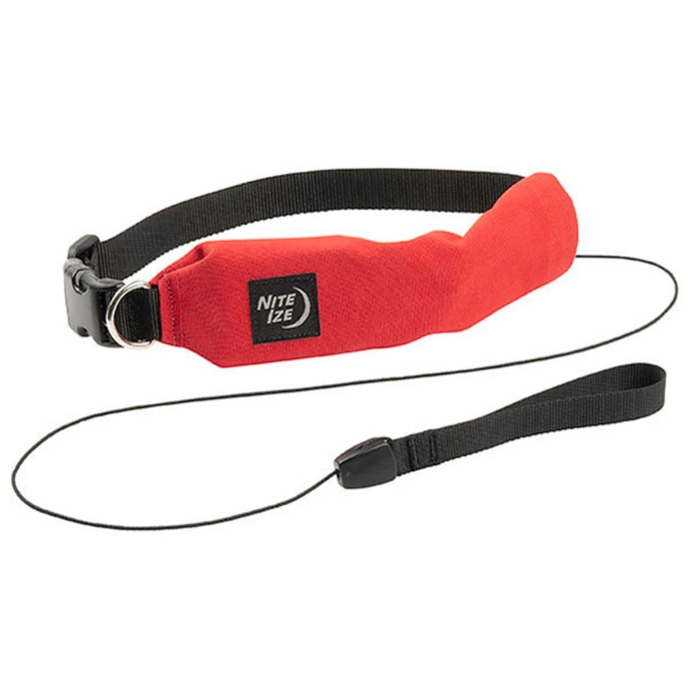 RadDog All-In-One Large Dog Collar and Leash Combination