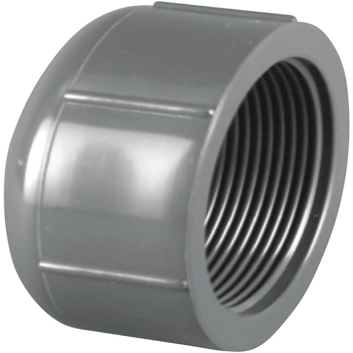 Charlotte Pipe Schedule 80 1/2 in. FPT X 1/2 in. D FPT PVC Threaded Cap 1 pk
