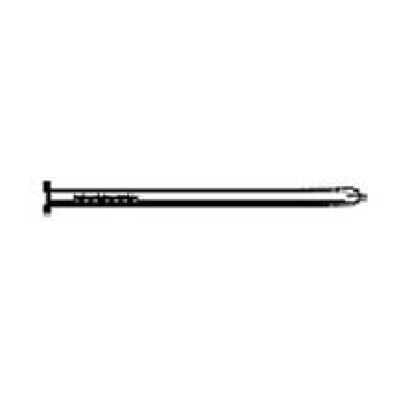 No. 8 2-1/2 In. Common Bright Steel Nail Flat Head 1 Lb Box