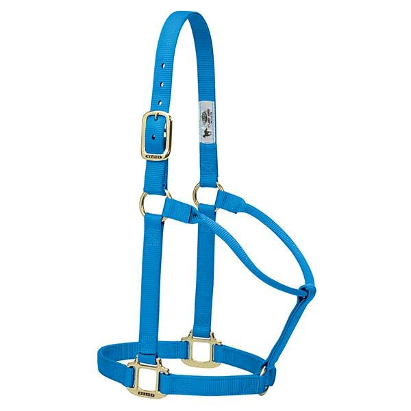 Original Non-adjustable Halter, 1", Hurricane Blue, Average Horse Size