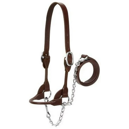 Leather Dairy/beef Rounded Show Halter, Brown, Extra Small