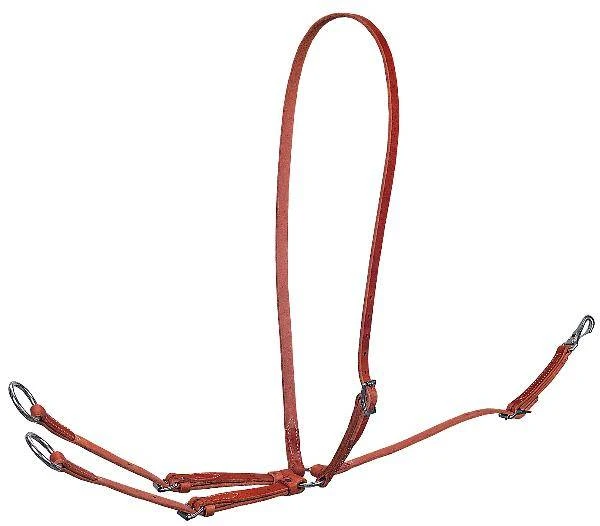 MARTINGALE RUN HORSE