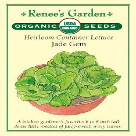 Organic Heirloom Lettuce Seeds - Container Gardening Variety