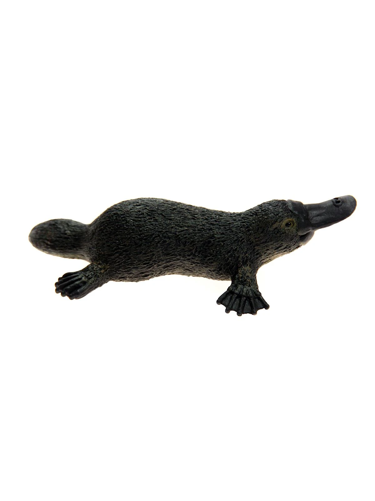 Wild Life Platypus Collectible Figure 14840