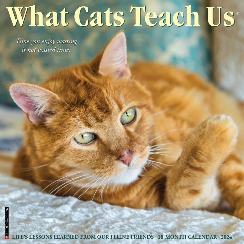 What Cats Teach Us 2024 12x12 Wall Calendar - Inspirational Cat Quotes