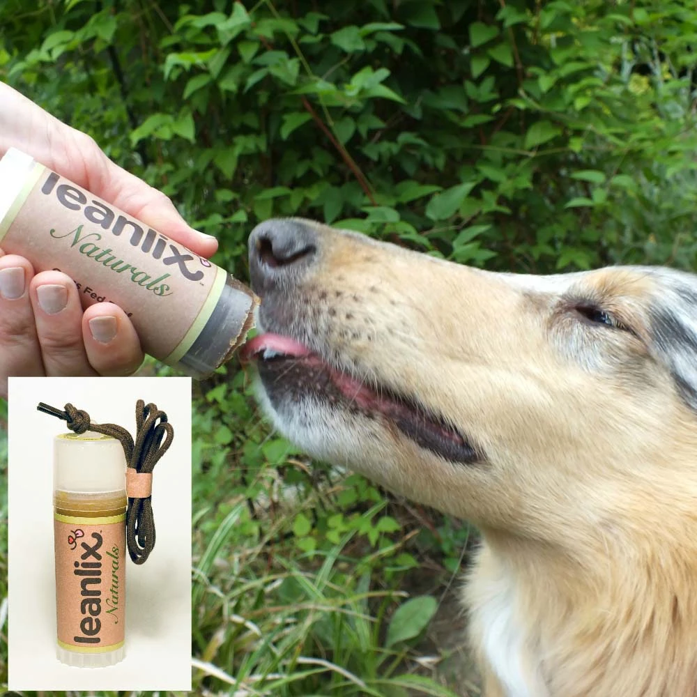 Grass-fed Beef Lickable Dog Treat, 5 X 1.25 Inches