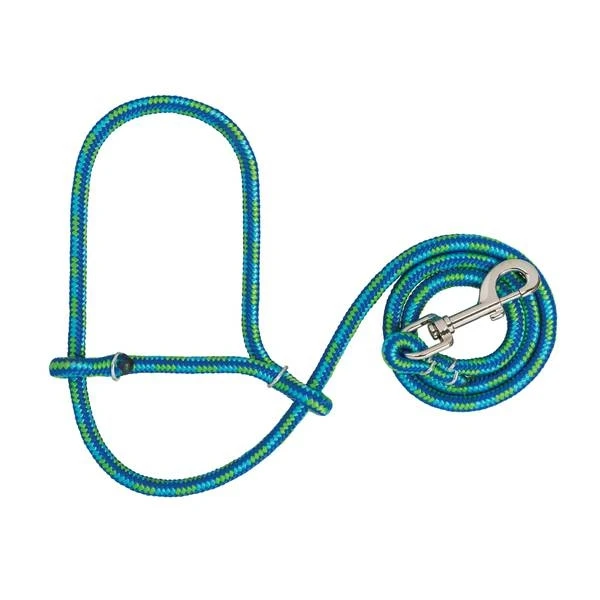 Sheep Rope Halter With Snap - Lime, Hurricane Blue, Royal Blue
