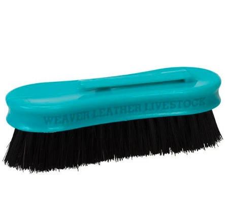 Livestock Small Pig Face Brush With Plastic Handle, Teal, 1-1/2" W X 5" L