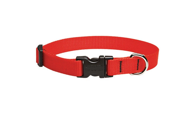 Lupine Pet Basic Solids Red Nylon Adjustable Dog Collar 9-14 Inches