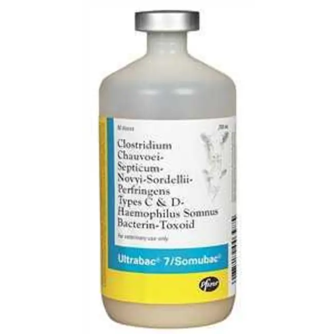50DS ULTRABAC 7\SOMNUBAC