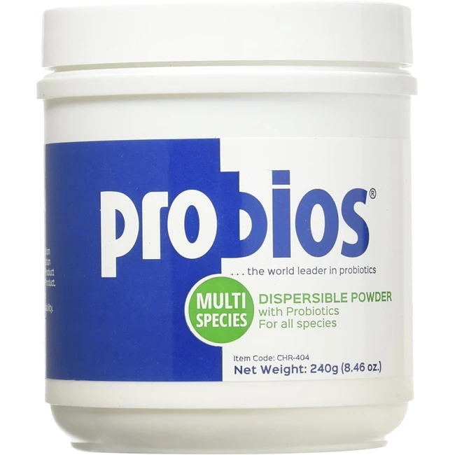 Livestock Probios Powder Probiotic Supplement, 240 Gram Container