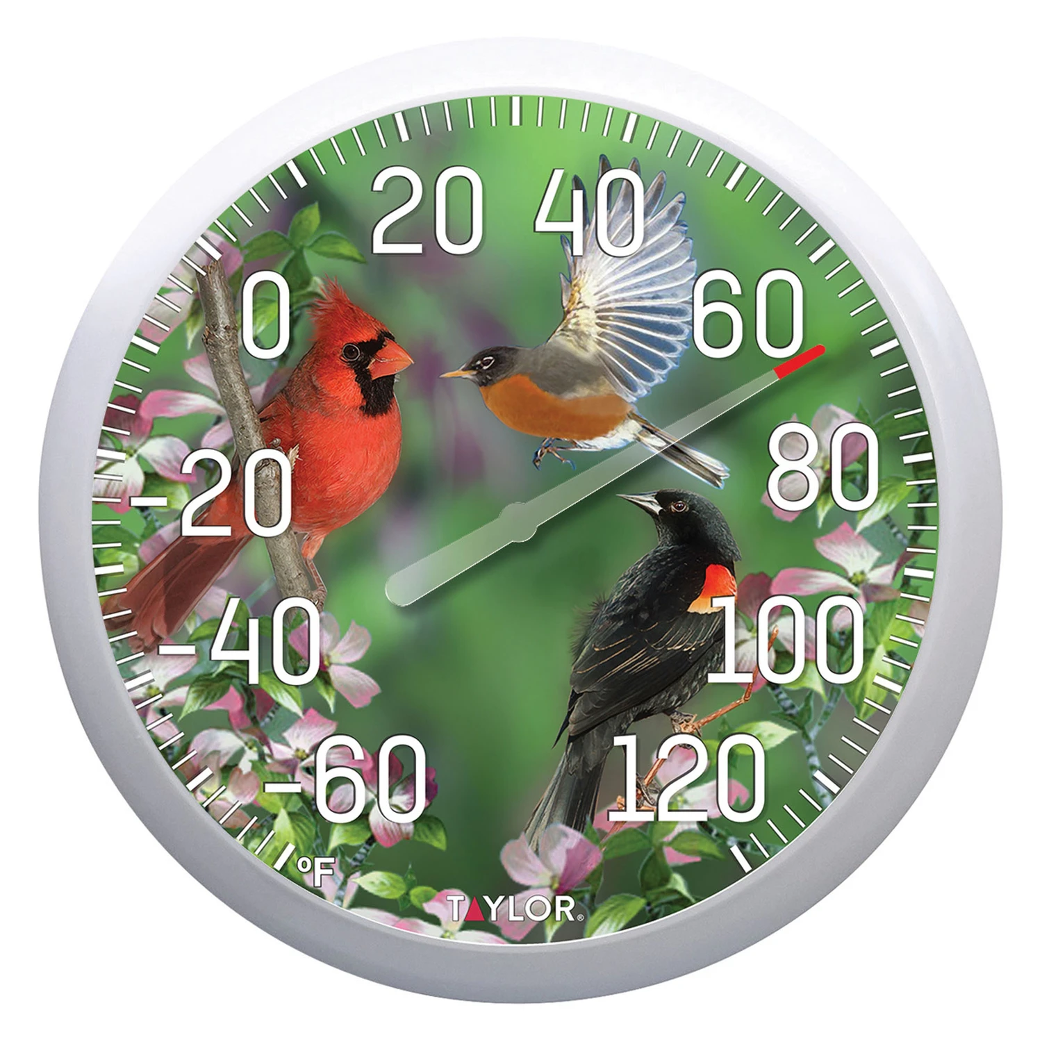 13.25 BIRDS THERMOMETER