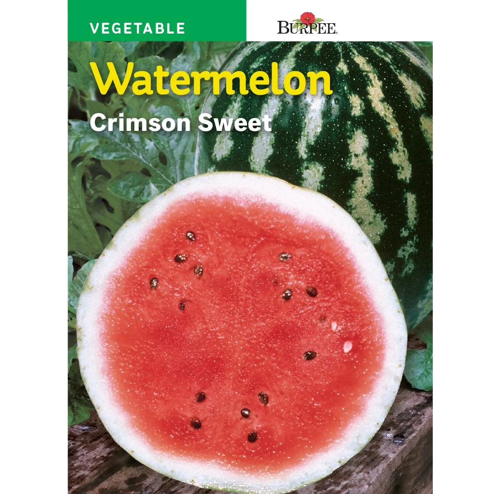 BURPEE - WATERMELON - CRIMSON SWEET