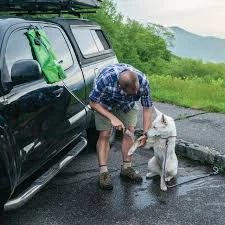 Go Shower Portable Dog Shower In Grass Green, 19" L X 11.5" W X 0.5" H
