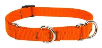 3/4-inch Blaze Orange Martingale Combo Collar For Medium To Large Dogs 14-20 Inches