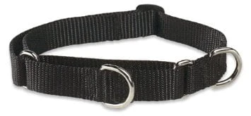3/4-inch Black Martingale Combo Collar For Dogs 10-14 Inches
