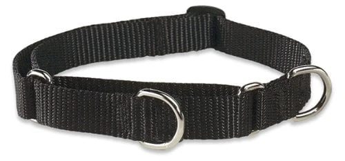 3/4-inch Black Martingale Combo Collar For Medium To Large Dogs (14-20 Inches)