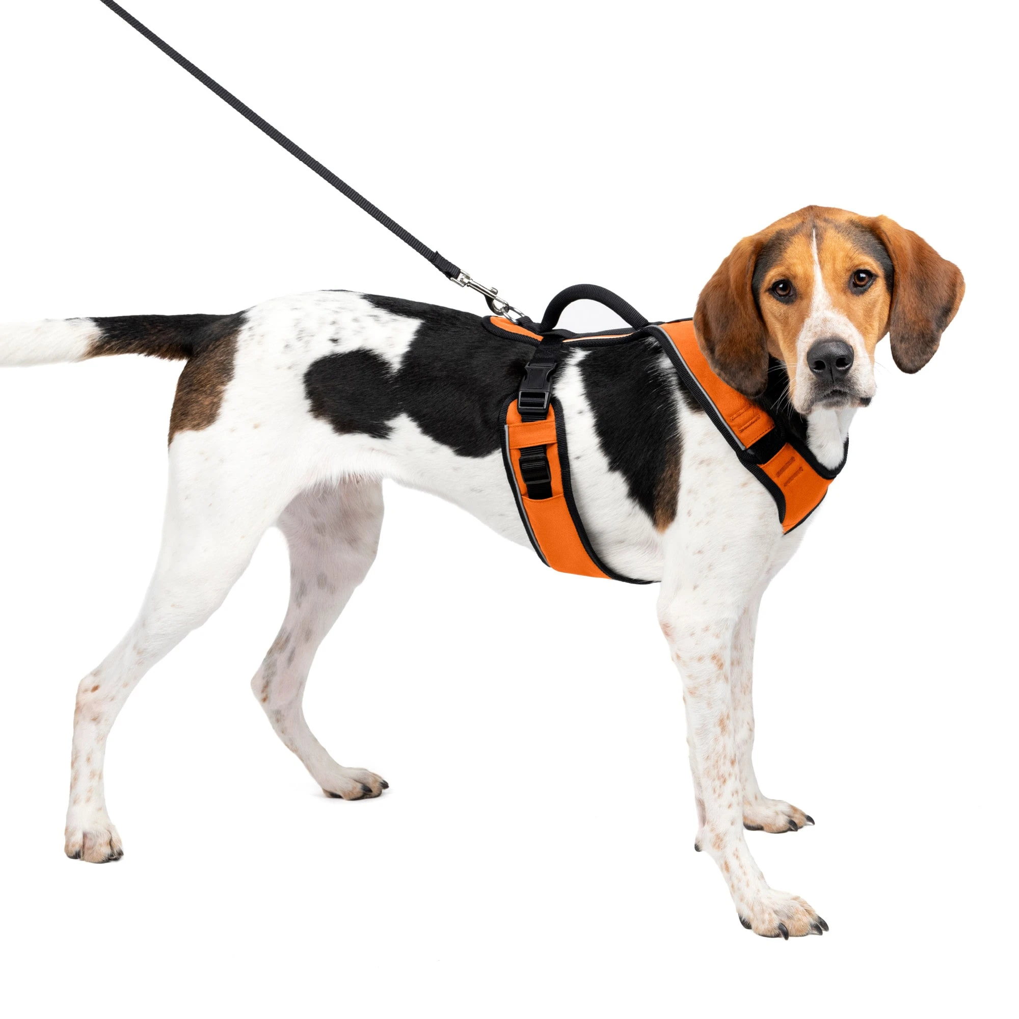 Easysport Comfortable Dog Harness, Large Size, Orange Color