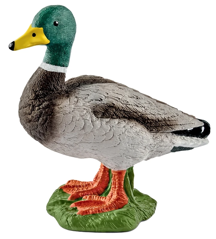 Drake Duck Toy Animal Figure for Children Ages Three and Up